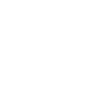PLAY N GO